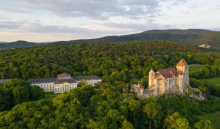 Wycieczka do Wienerwald – Las Wiedeński z Winem i Historią w Tle 2026